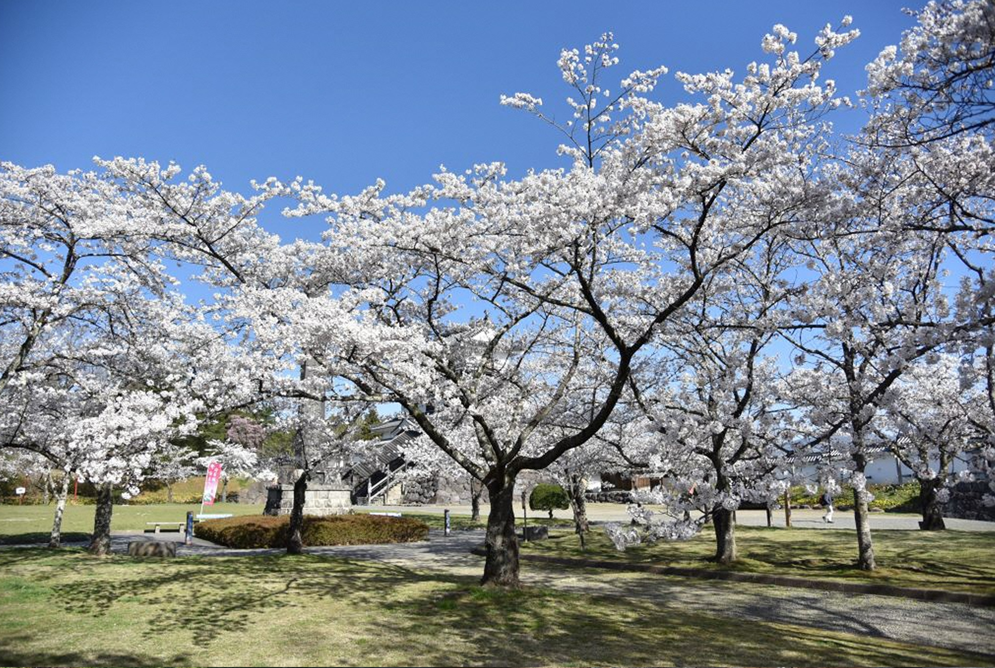 白石城